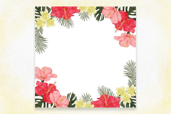 Hibiscus Flower Frame Watercolor Paint & Illustrations