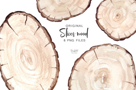 Original Watercolor Wood Slices and Illustrations
