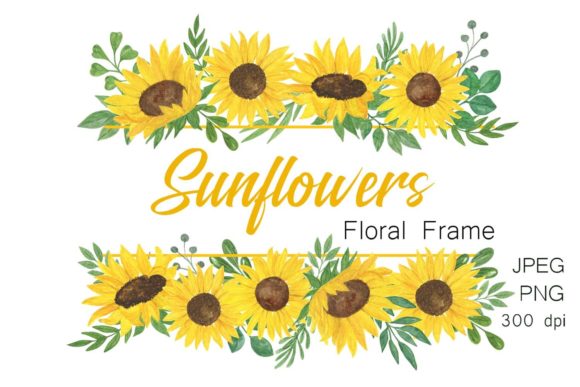 Sunflower Watercolor Floral Frame Illustrations