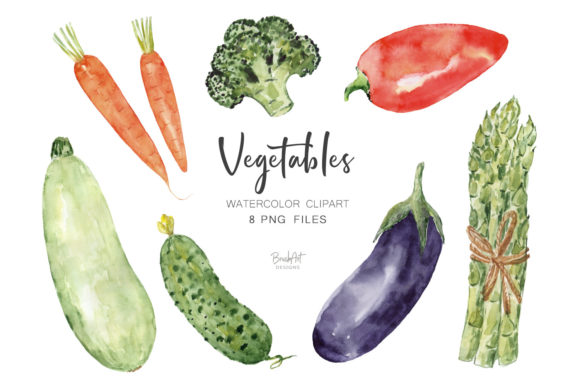 Vegetable Watercolor Set and Illustrations