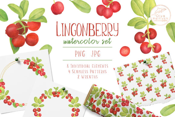 Watercolor Lingonberry Clipart Set