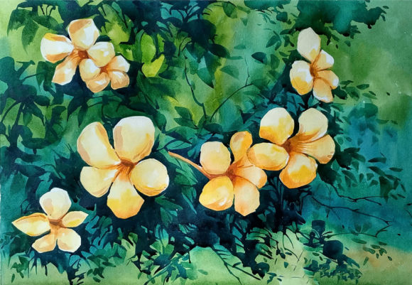 Watercolor Painting of Flowers Hand Draw