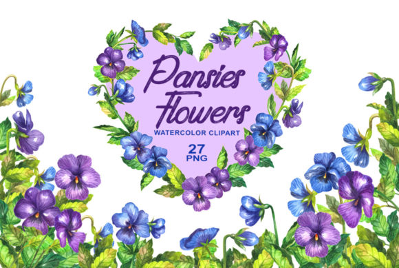 Watercolor Pansy Flower: Soft Illustrations for Brands