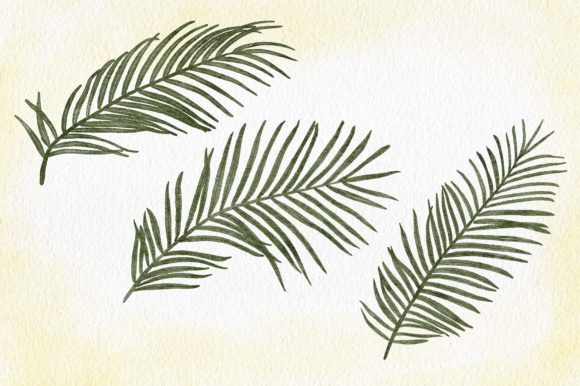 Watercolor Tropic Palm Leaf Set Painting and Illustrations